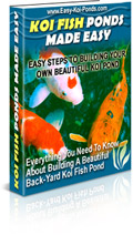 Build An Easy Koi Fish Pond